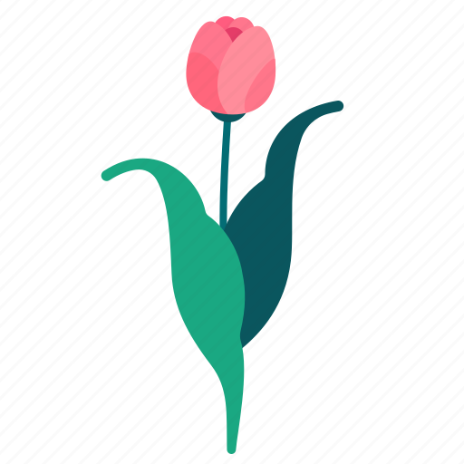 Spring, floral, flower, leaves, botanical, beauty, tulip icon - Download on Iconfinder