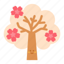 sakura, tree, japanese, plant, cherry blossom, cherry, nature, flower, garden