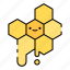honeycomb, bee, beekeeping, beehive, hive, hexagon, food, apiary, honey 