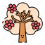 sakura, tree, cherry blossom, nature, leaf, plant, garden, gardening, flower 