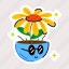 sunflower pot, sunflower petals, garden flower, spring flower, blooming flower 