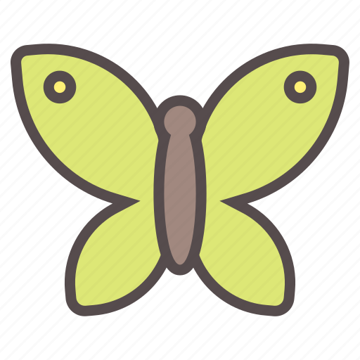 Bug, butterfly, fly, garden, insect, spring, wings icon - Download on Iconfinder