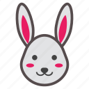 animal, bunny, cute, garden, pet, rabbit, spring