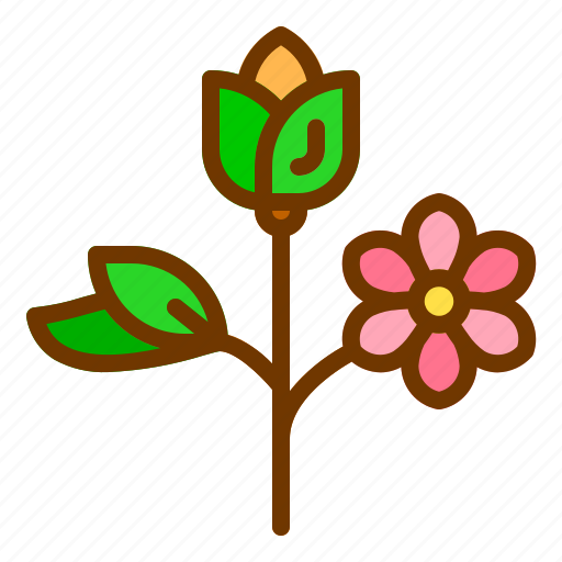 Flower, nature, spring, summer, tree icon - Download on Iconfinder