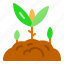 farm, ground, growth, plant, sprout 