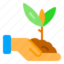 charity, hand, plant, sprout, tree