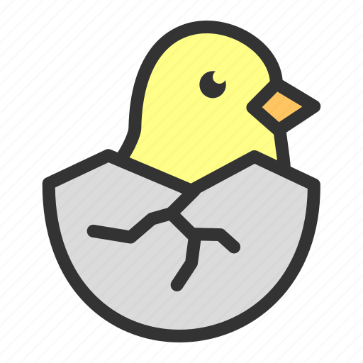 Chicks, easter, egg, hatched, spring, poultry icon - Download on Iconfinder