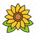 sunflower, blossom, spring, nature, season, leaves