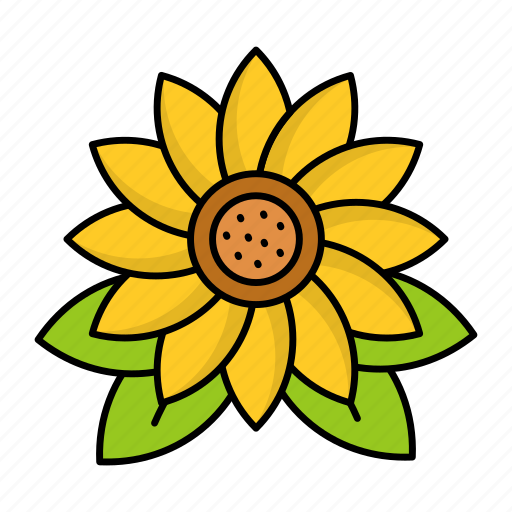 Sunflower, blossom, spring, nature, season, leaves icon - Download on Iconfinder