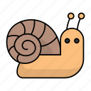 snail, slug, mollusk, spring, nature, season, insect