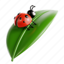 ladybug, spring time, springtime, garden, sunny day, sunny, nature, warm, spring 