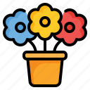 spring, flower, pot