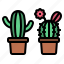 spring, cactus, plant, nature, pot 