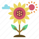 spring, sunflower, flower, nature, garden