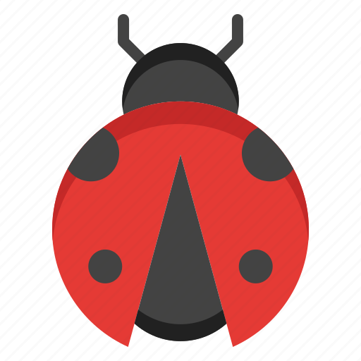 Spring, ladybug icon - Download on Iconfinder on Iconfinder