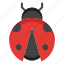 spring, ladybug 