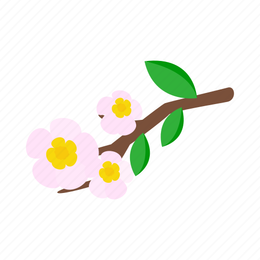 Blossom, branch, floral, flower, isometric, nature, spring icon - Download on Iconfinder