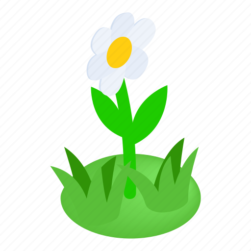 Flower, garden, isometric, natural, nature, outdoor, plant icon - Download on Iconfinder