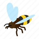 animal, bee, fly, honey, insect, isometric, wing