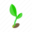 ground, growth, isometric, nature, shadow, spring, sprout