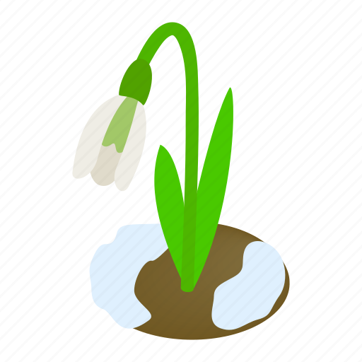Blossom, flower, isometric, nature, plant, snowdrop, spring icon - Download on Iconfinder