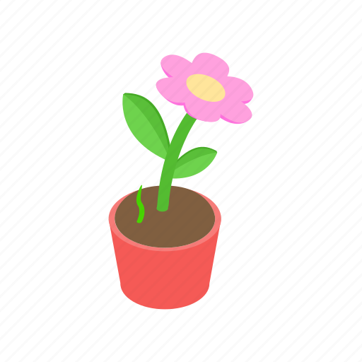 Flower, growth, isometric, nature, plant, pot, spring icon - Download on Iconfinder