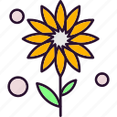 ecology, flower, nature, sunflower