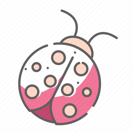 Beetle, insect, ladybird, nature, spring, summer icon - Download on Iconfinder