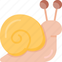snail, slow, shell, animal, wildlife