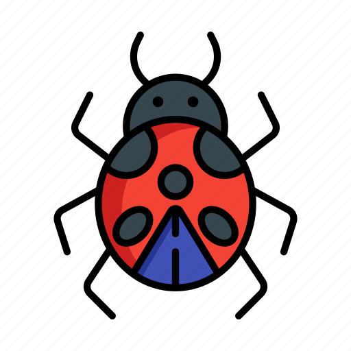 Ladybug, ladybird, insect, bug, spring icon - Download on Iconfinder