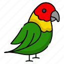 parrot, bird, pet, colorful, mimicry, feathers, exotic, intelligent