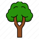 tree, nature, oxygen, environment, growth, shade, wood, ecosystem