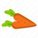 carrots, vegetable, orange, crunchy, nutrition, garden, beta