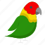parrot, bird, pet, colorful, mimicry, feathers, exotic, intelligent 