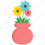 spring, daisy, flower, element, plant 
