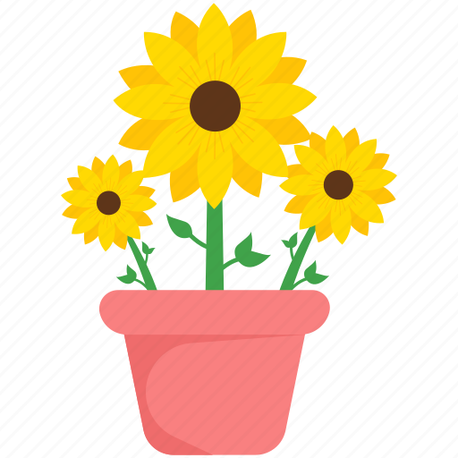 Spring, sunflower, beautiful, flower, nature, plant, blossom icon - Download on Iconfinder