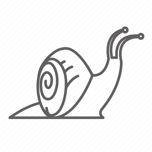 Nature, shell, slow, snail, spring icon - Download on Iconfinder