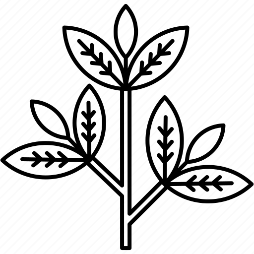 Branch, leaf, plant, nature icon - Download on Iconfinder
