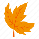yellow, leaf, isometric, autumnsymbol, canadian