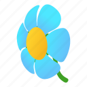 flower, isometric, blossoming, blueflower, blue