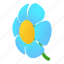 flower, isometric, blossoming, blueflower, blue 