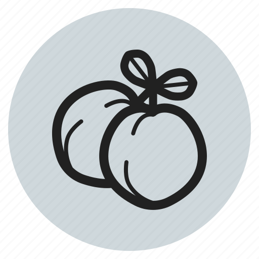 Spring, vegetables, fruits, apricot, peach icon - Download on Iconfinder