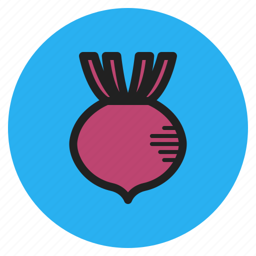 Spring, vegetables, fruits, beet, beets, root icon - Download on Iconfinder