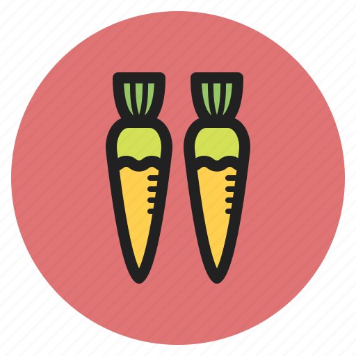 Spring, vegetables, fruits, carrot, carrots, root icon - Download on Iconfinder