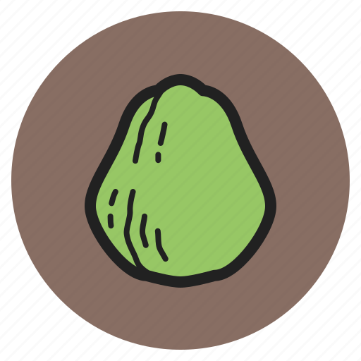 Spring, vegetables, fruits, chayote, squash, plants icon - Download on Iconfinder
