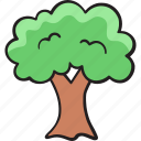 tree, nature, garden, botanical, ecology