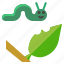 butterfly, caterpillar, insect, leaf, worm 
