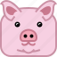 animals, avatar, farm, pig, square, swine 