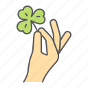 hand, holding, clover, hold, three, leaf, shamrock