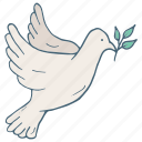 ukraine, pigeon, peace, dove, war